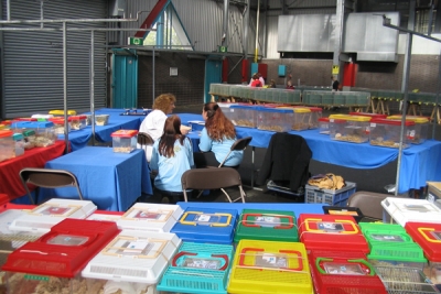 N.M.C. Keuring gehouden op paarden dagen keuring veemarkt te Utrecht op 26 september 2004